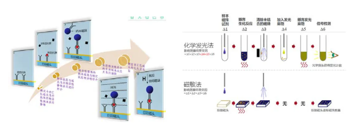 生物磁珠体外应用简述(图12) 生物磁珠体外应用简述(图12)