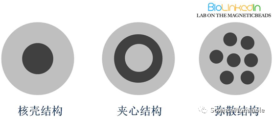 硬核！一文读懂生物磁珠