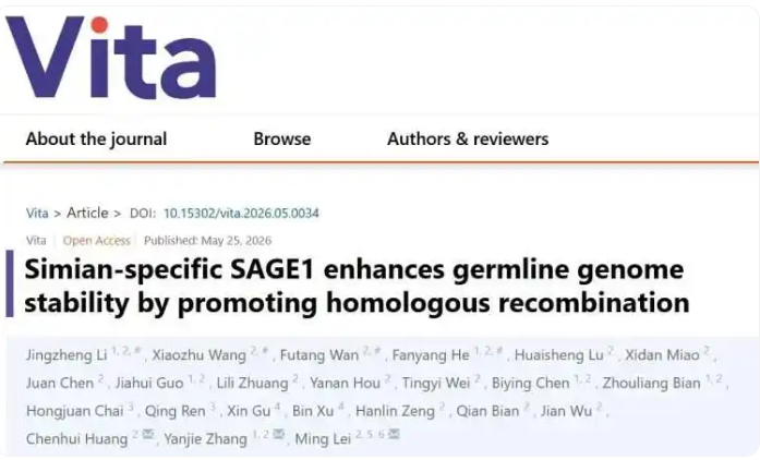 破解三十年之谜？发现基因组“守护特工”？九院团队连续破解生命科学关键谜题