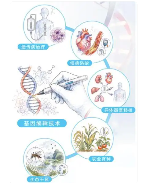 基因编辑，迈向精准医疗新阶段