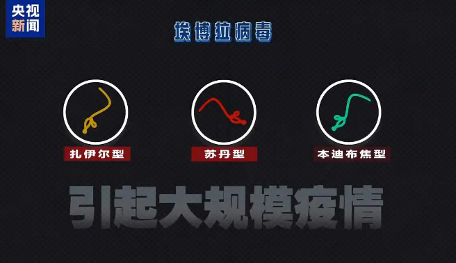 Ebola/埃博拉
